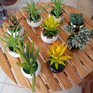 Mini planters with small pots