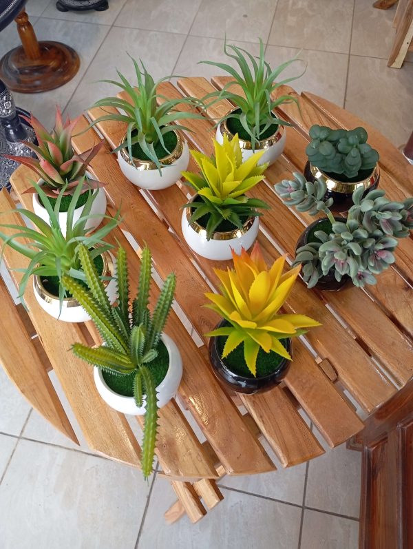 Mini planters with small pots