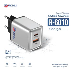 Ronin R6010 charger